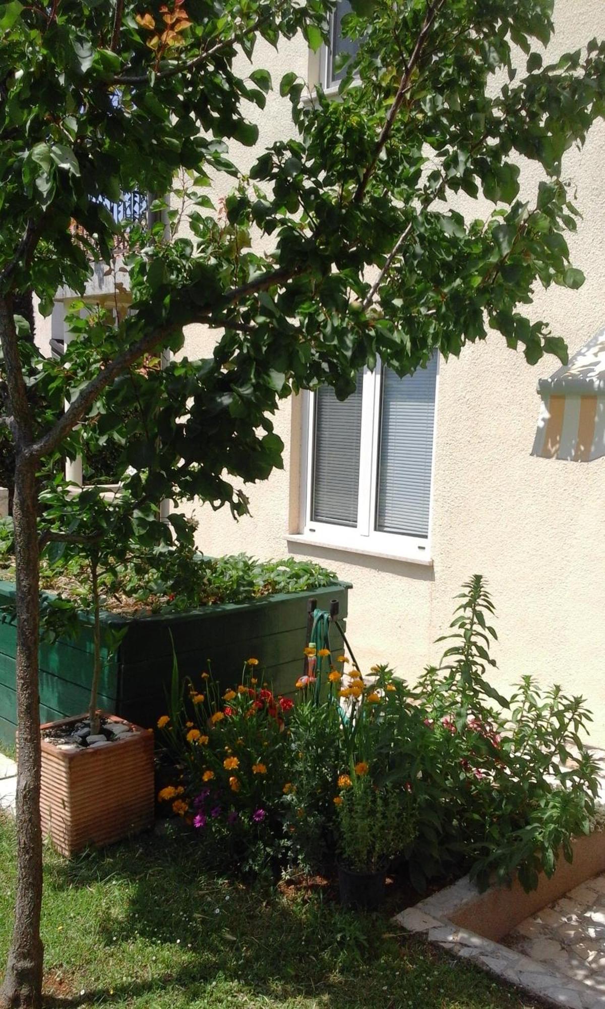 Apartment Laura Poreč Exteriör bild